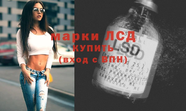 шишки Медногорск