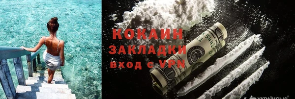 шишки Медногорск