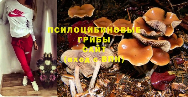 шишки Медногорск