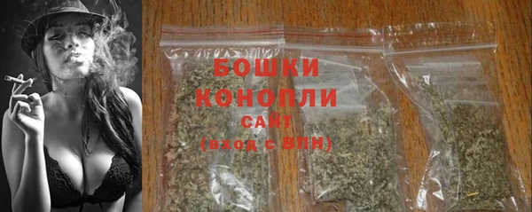 шишки Медногорск