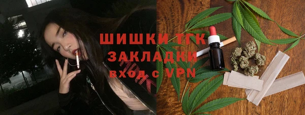 шишки Медногорск