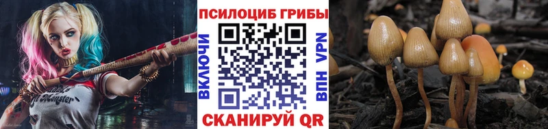 Псилоцибиновые грибы GOLDEN TEACHER  даркнет сайт  Пыталово 