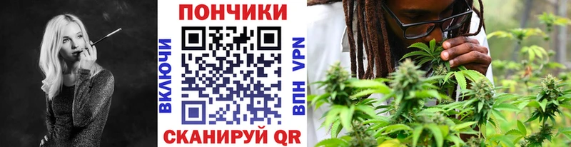 Бошки Шишки конопля  Пыталово 
